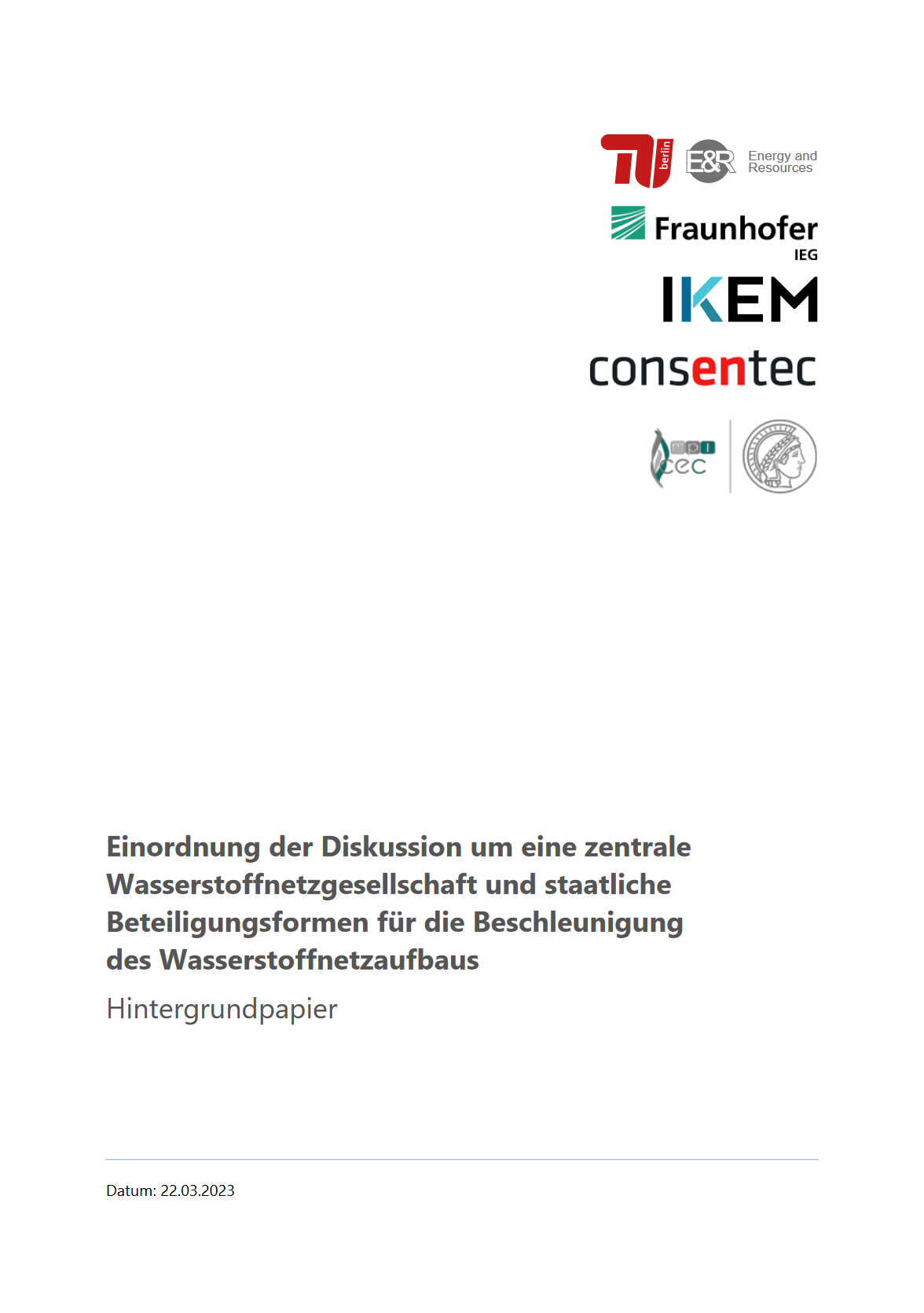 Einordnung der Diskussion um eine zentrale Wasserstoffnetzgesellschaft und staatliche Beteiligungsformen für die Beschleunigung des Wasserstoffnetzaufbaus