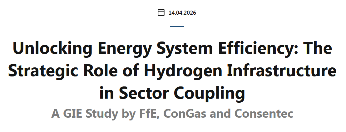 Unlocking Energy System Efficiency: The Strategic Role of Hydrogen Infrastructure in Sector Coupling