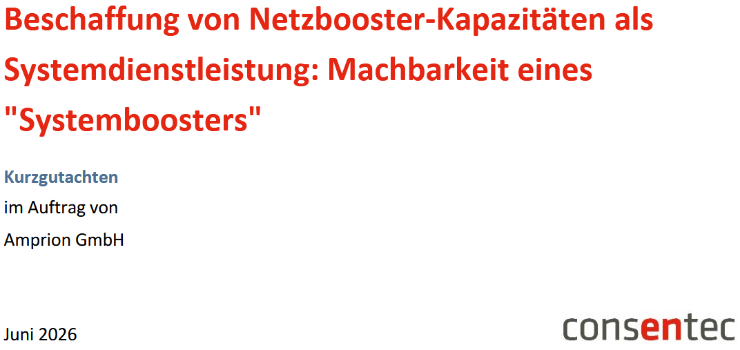 Beschaffung von Netzbooster-Kapazitäten als Systemdienstleistung: Machbarkeit eines „Systemboosters“